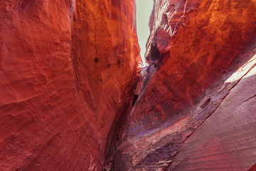 Slot canyon along the Burr trail road