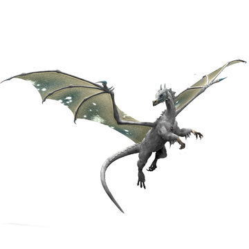 White dragon flying dragon fantasy creature Mythological animal