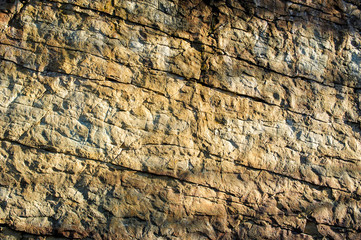 Rocky coast of the river. Landscape of countryside river