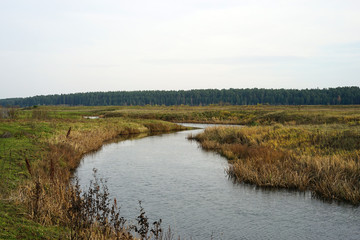 landscape, nature, water, sky, river, grass, summer,