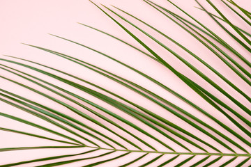 Obraz premium Wesołych Świąt. Boże Narodzenie skład z gałęzi i światła na podłoże drewniane. Boże Narodzenie tło. Zbliżenie, widok pionowy