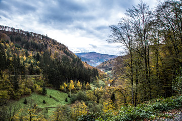 Deutschland, endlose Waldlandschaft des Schwarzwald Natur wandern Landschaft 