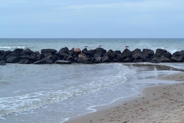 Fototapeta premium Denmark, coasts, dunes, raw