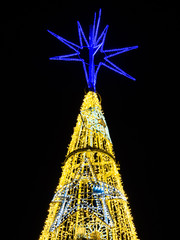 illuminated Christmas tree on black background