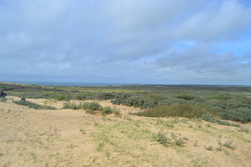 Denmark, coasts, dunes, raw
