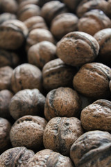 Still life photo of Shell nuts on the plate.