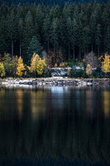 Spiegeln Winter Herbst und Schnee bei der Titisee See im Schwarzwald