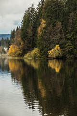 Spiegeln Winter Herbst und Schnee bei der Titisee See im Schwarzwald