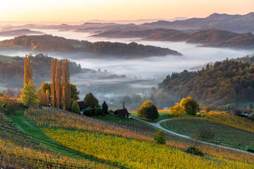 Beautiful warm light, bathing hills and vineyards in Austria, fall 2019.