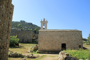 Occi