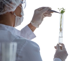 Female scientist researcher conducting an experiment in a labora