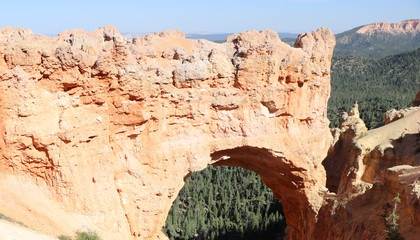 Bryce Canyon Hoodoos