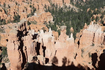 Bryce Canyon Hoodoos