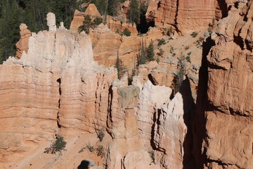 Bryce Canyon Hoodoos