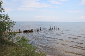 Fototapeta premium Wild shore of the Gulf of Riga and wooden poles in the water from the old boat pier