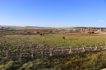 Fototapeta premium Natura w całej okazałości