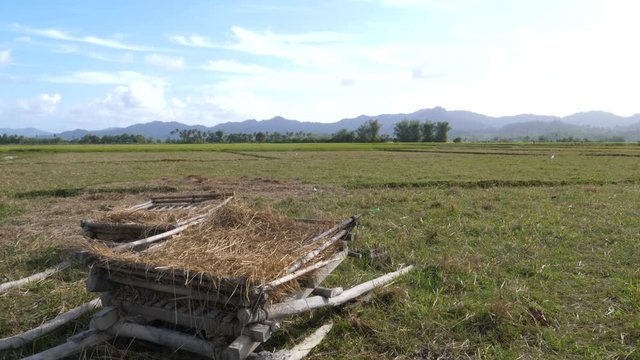Agricultural machine in rice fields of Palawan