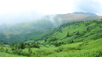 Shibu Pass, Vegetation, Mountainous landforms