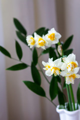Fototapeta na wymiar Bouquet yellow narcissus, red cardamon and many flowers in a glass vase