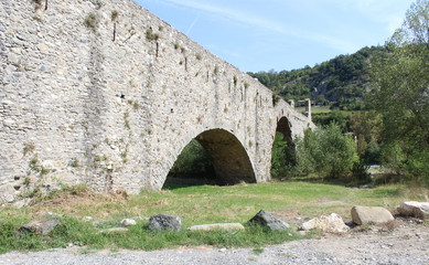 Fototapeta na wymiar Ponte medievale sul fiume nella città di Bobbio