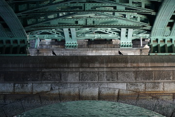 two pigeons under the bridge