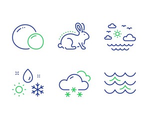 Travel sea, Snow weather and Peas line icons set. Weather, Animal tested and Waves signs. Summer holidays, Snowflake, Vegetarian seed. Climate. Nature set. Line travel sea outline icons. Vector