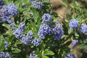 Parc de Saleccia © Estelle R