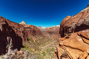 Canyon overlook in Zion National park