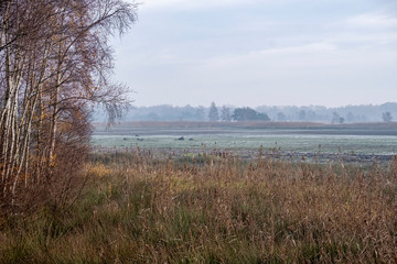 Naturschutzgebiet Zwillbrocker Venn