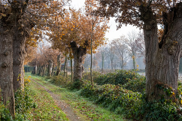 Fototapeta premium Kulturdenkmal 