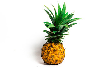 pineapple isolated on a white background