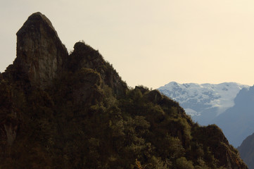 tree covered Andes mountains