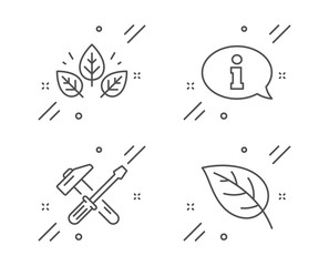 Organic tested, Information and Hammer tool line icons set. Leaf sign. Bio ingredients, Info center, Repair screwdriver. Environmental. Business set. Line organic tested outline icon. Vector