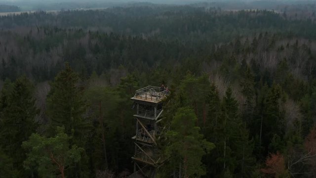 Aerial drone video flying backwards away form a wooden sightseeing tower in the middle of a dense mixed tree forest. Dark, eerie, desaturated, colors. View of the horizon. 4k video.