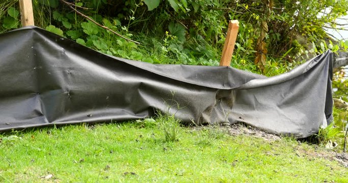 A temporary black mesh fence is set up to prevent toadlets from crossing a nearby road.  Western Toad.