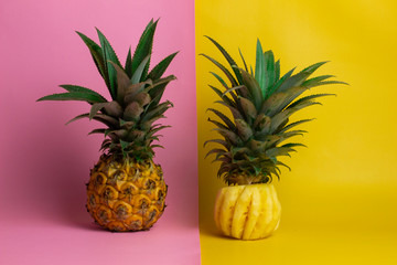 exotic tropical fruits, pineapple isolated on a yellow and pink background