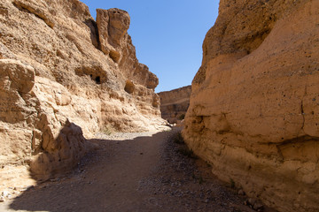 Obraz premium Was ein Fluss so ausgegraben hat