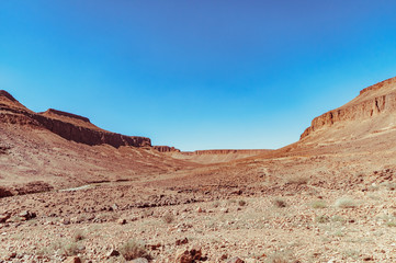 View on the moroccan desert, drying, desertification, isolated tree