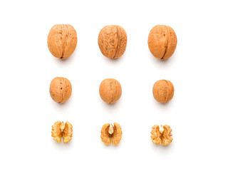 Tasty walnuts on white background