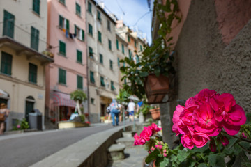 Fototapeta na wymiar Street View in Riomaggirore Cinque Terre Italy