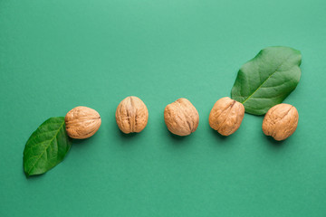 Tasty walnuts with leaves on color  background
