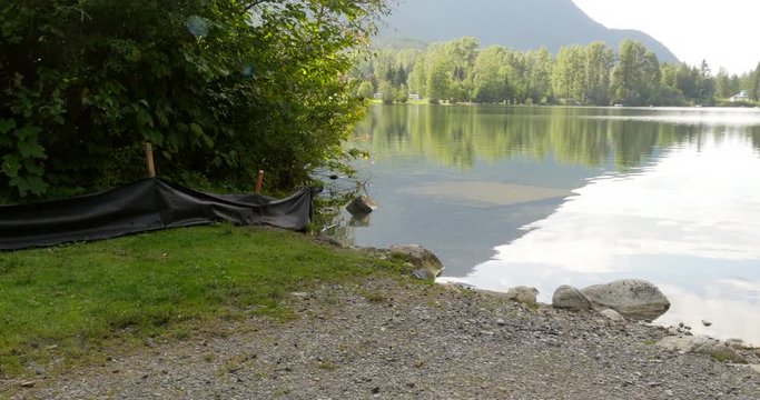 Black mesh fence attempts to keep toadlet migration from crossing a nearby road.  Western toad.