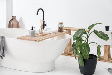 Bathtub with supplies in stylish interior