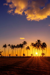 Obraz na płótnie Canvas Tropical Island Sunrise