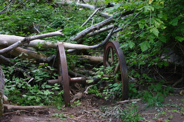 old wagon wheel