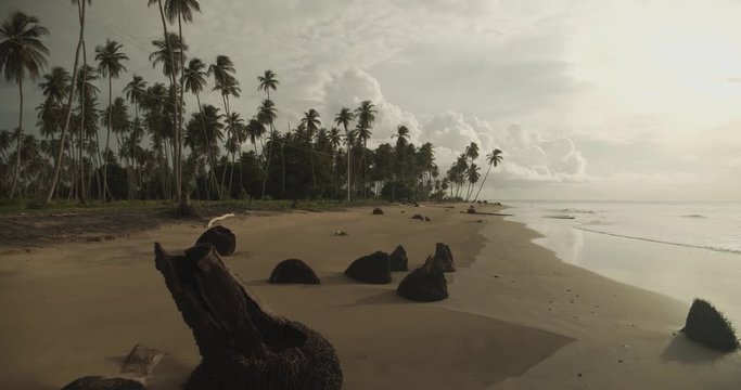 Waves crashing at a beach just seven miles off the coast of Venezuela, in Icacos Trinidad with a coconut estate in the background