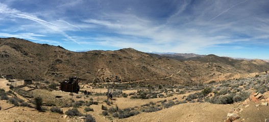 Joshua tree, California