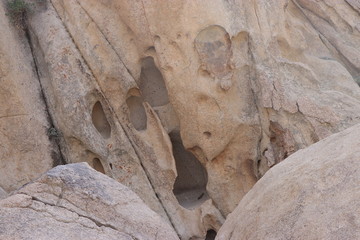 Joshua tree, California
