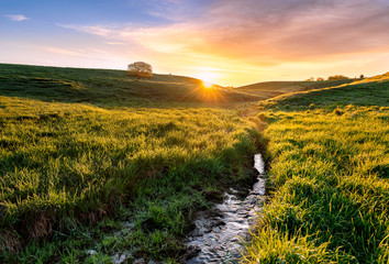 stream running through the field during the summer