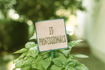 Writing note showing It Professionals. Business concept for any demonstrating associatedand expert with the computer world Plain paper attached to stick and placed in the grassy land